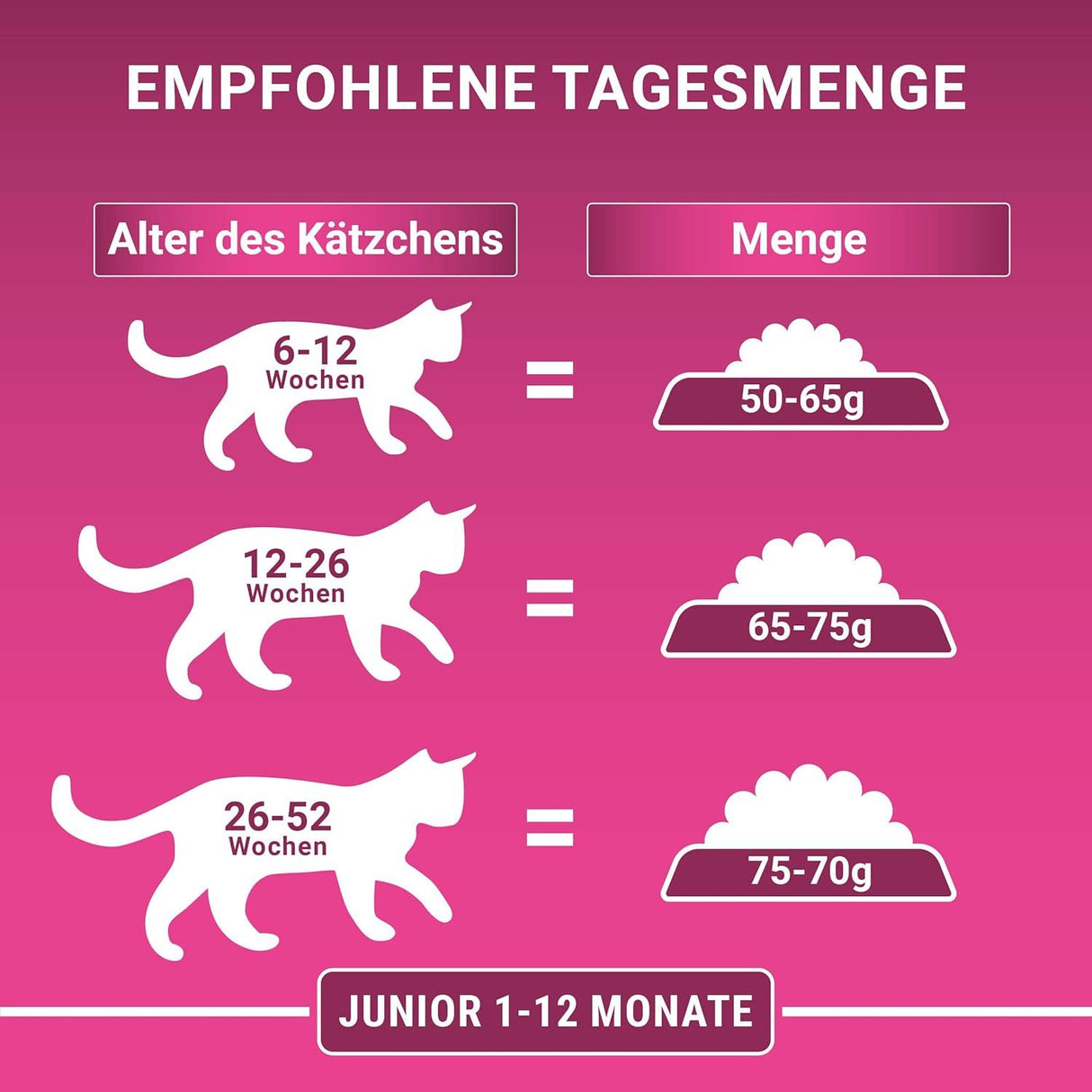 PURINA ONE BIFENSIS JUNIOR 1-12 Katzenfutter Kitten trocken, reich an Huhn