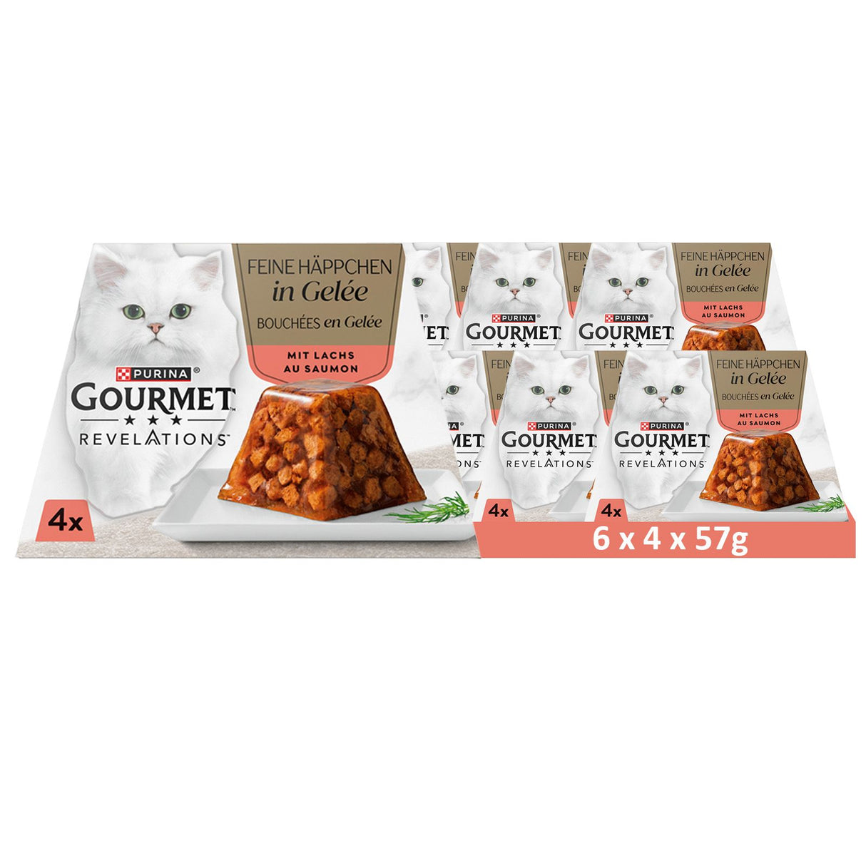 GOURMET Revelations Fine Cuts au Saumon