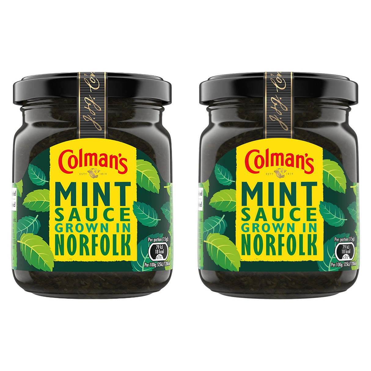 Colman's Classic Mint Sauce | Gewürzsoße aus Minze zum Würzen von Lamm, Salatdressings, Guacamole |