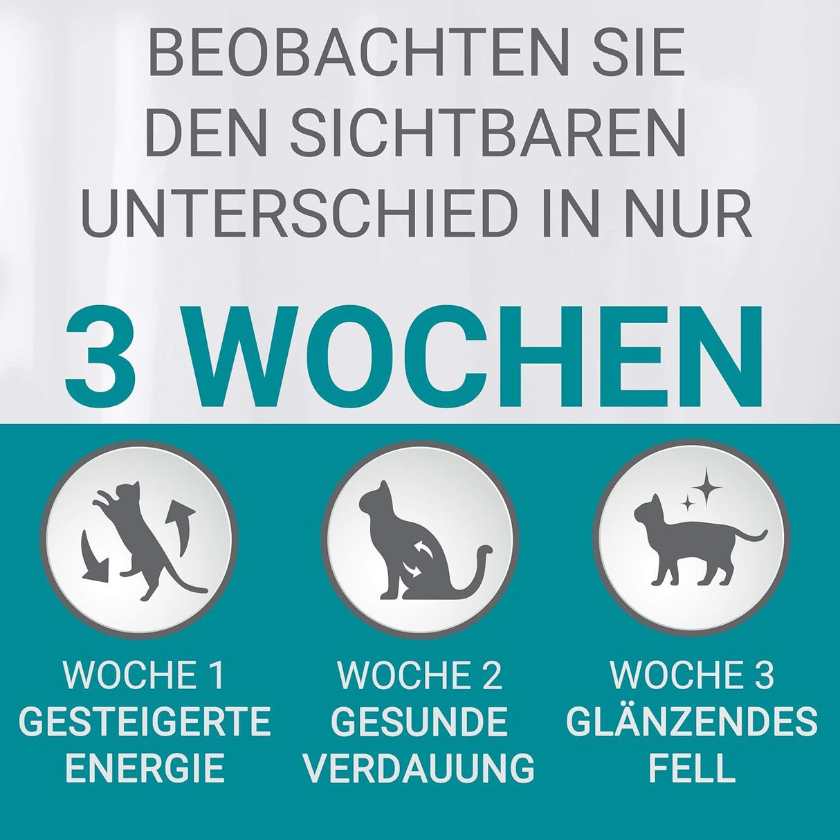 PURINA ONE STERILCAT Trockenfutter Katze mit Rind