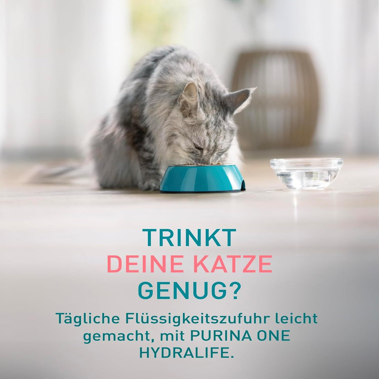 PURINA ONE HYDRALIFE mit Lachs