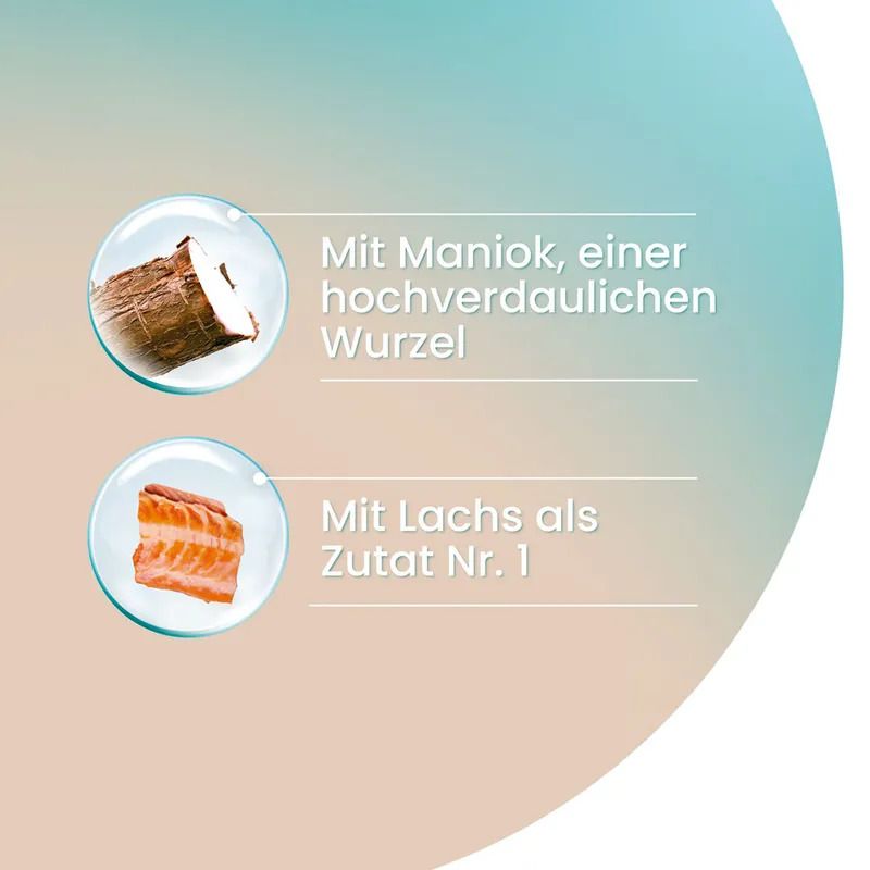 PURINA ONE Getreidefrei Trockenfutter mit Lachs