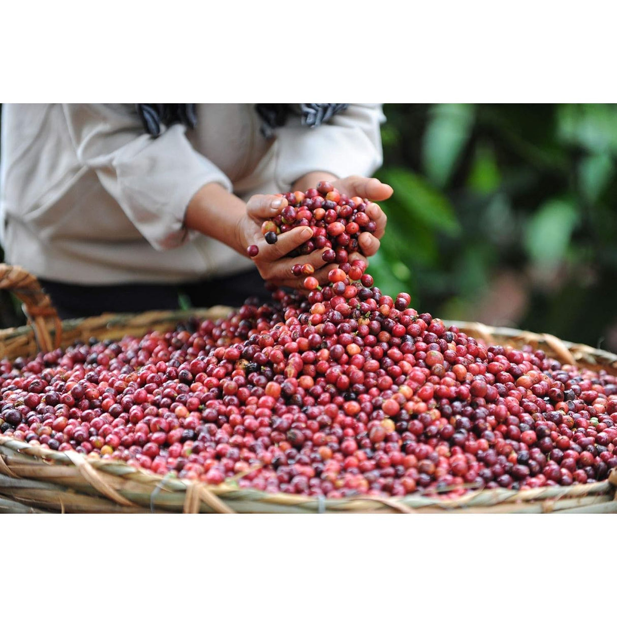 NESCAFÉ GOLD Typ Espresso, löslicher Instant-Espresso-Kaffee mit 100% feinen Arabica Kaffeebohnen