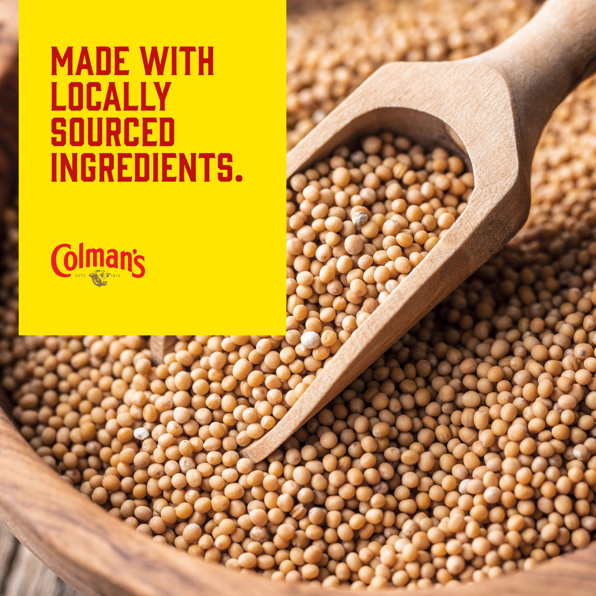 Colman's Original englischer Senf, English Mustard fein gemahlen in der Tube