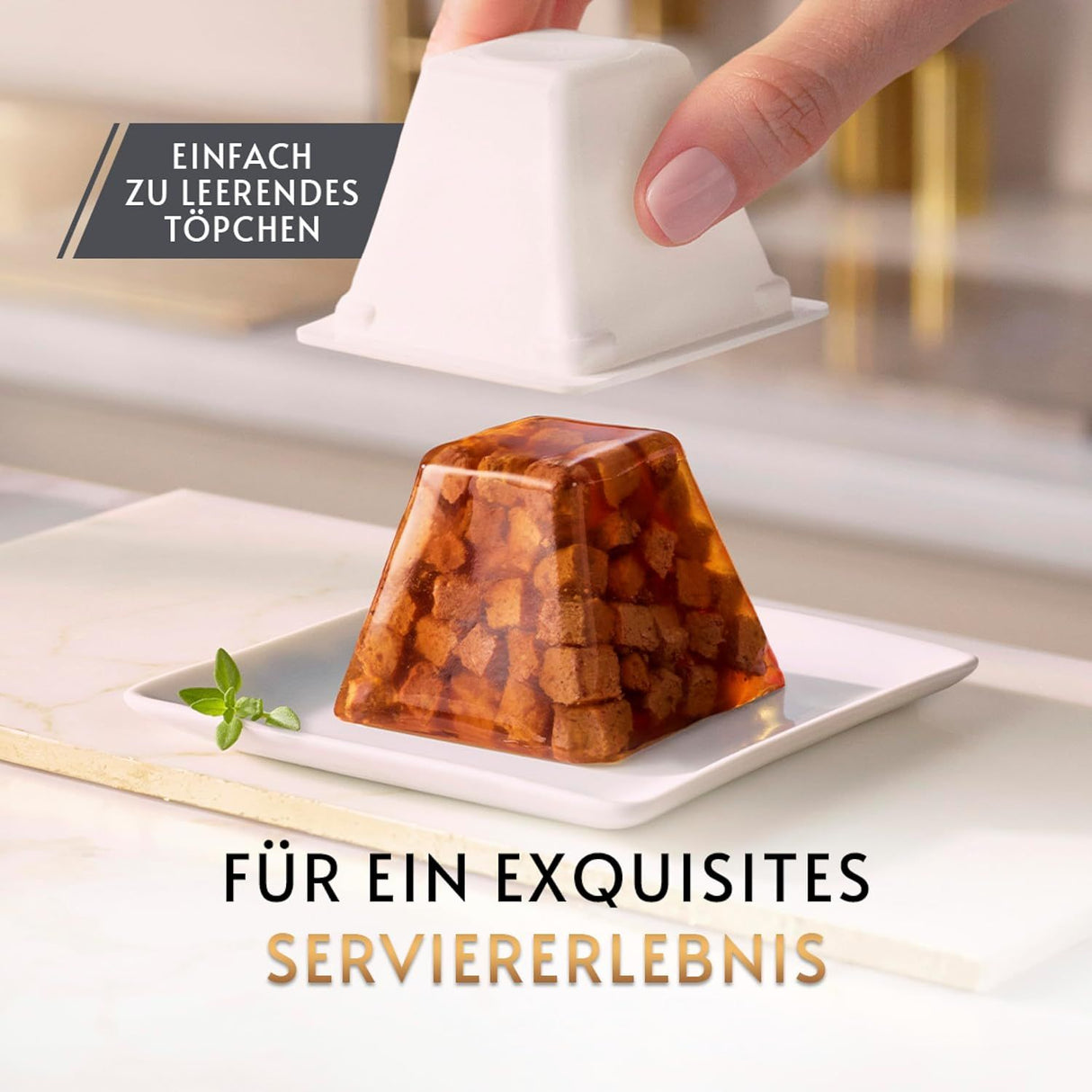 GOURMET Revelations Fine Cuts au Saumon