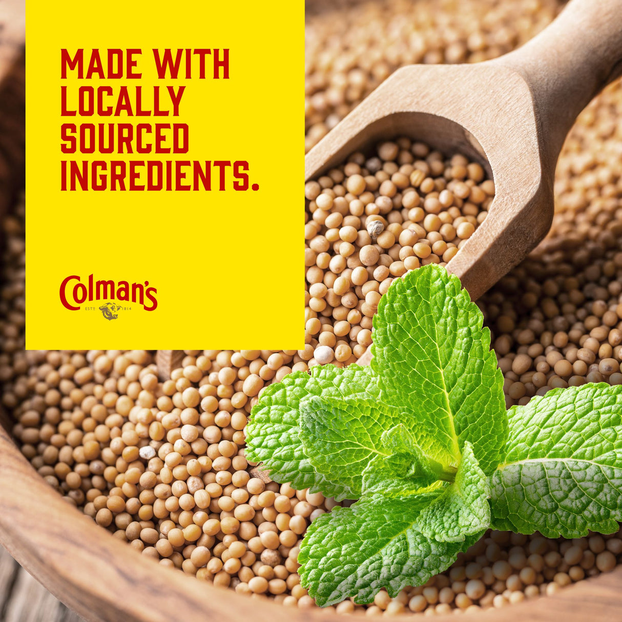 Colman's Classic Mint Sauce | Sauce épicée à la menthe pour assaisonner l'agneau, les vinaigrettes, le guacamole |