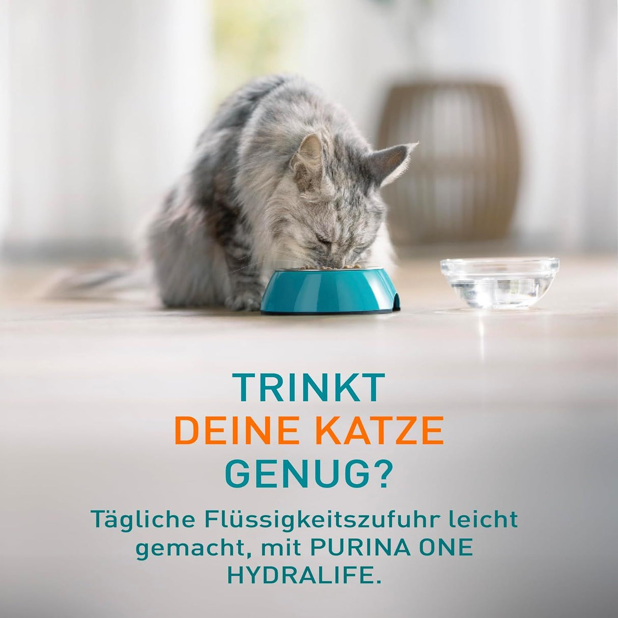 PURINA ONE HYDRALIFE au poulet