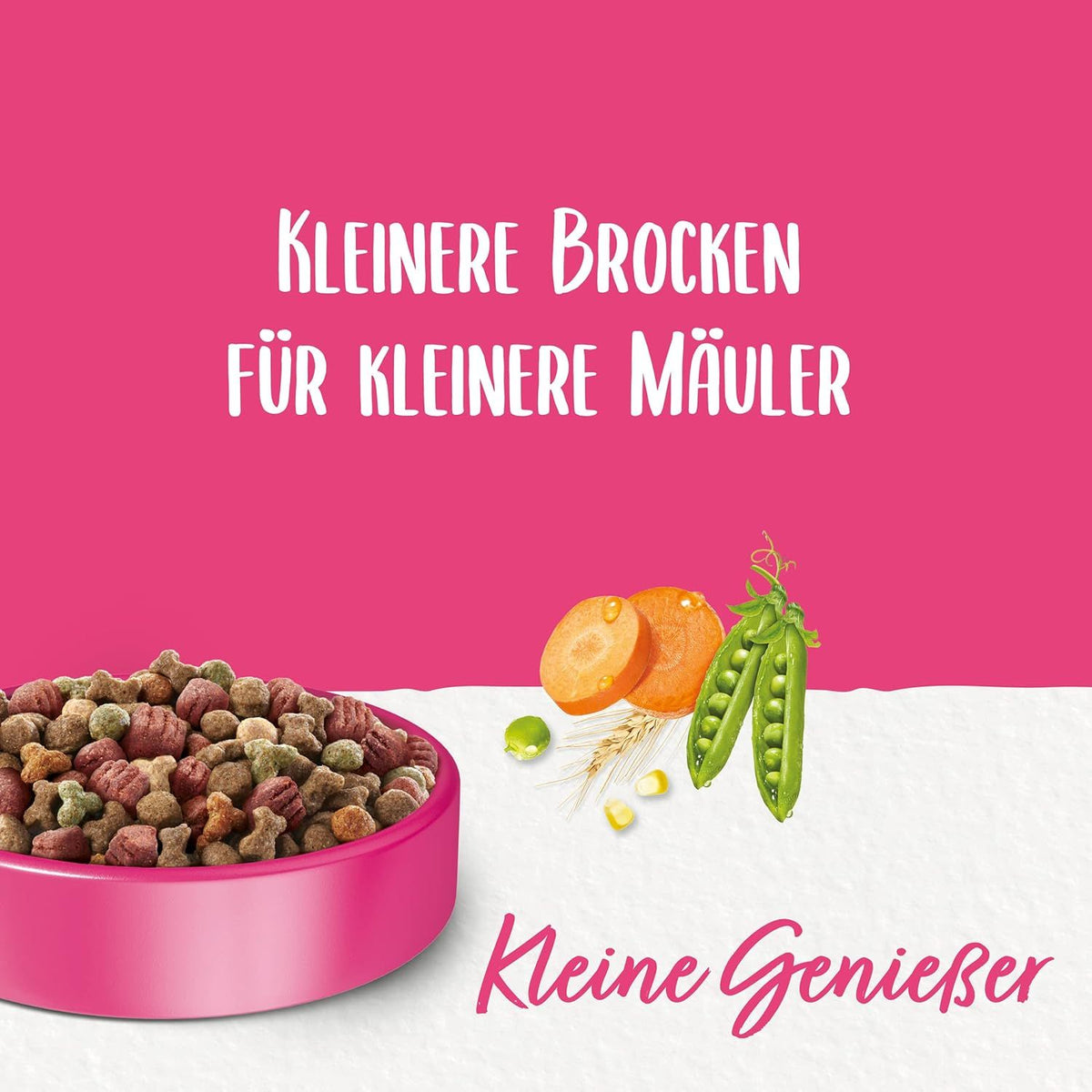 BENEFUL Petits gourmets nourriture sèche pour chiens avec bœuf et légumes