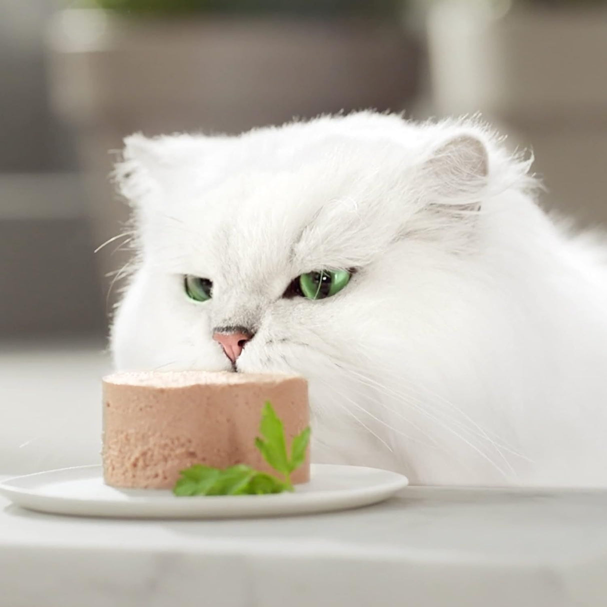 GOURMET Gold Pâté fin Nourriture pour chats humide, mélange de variétés