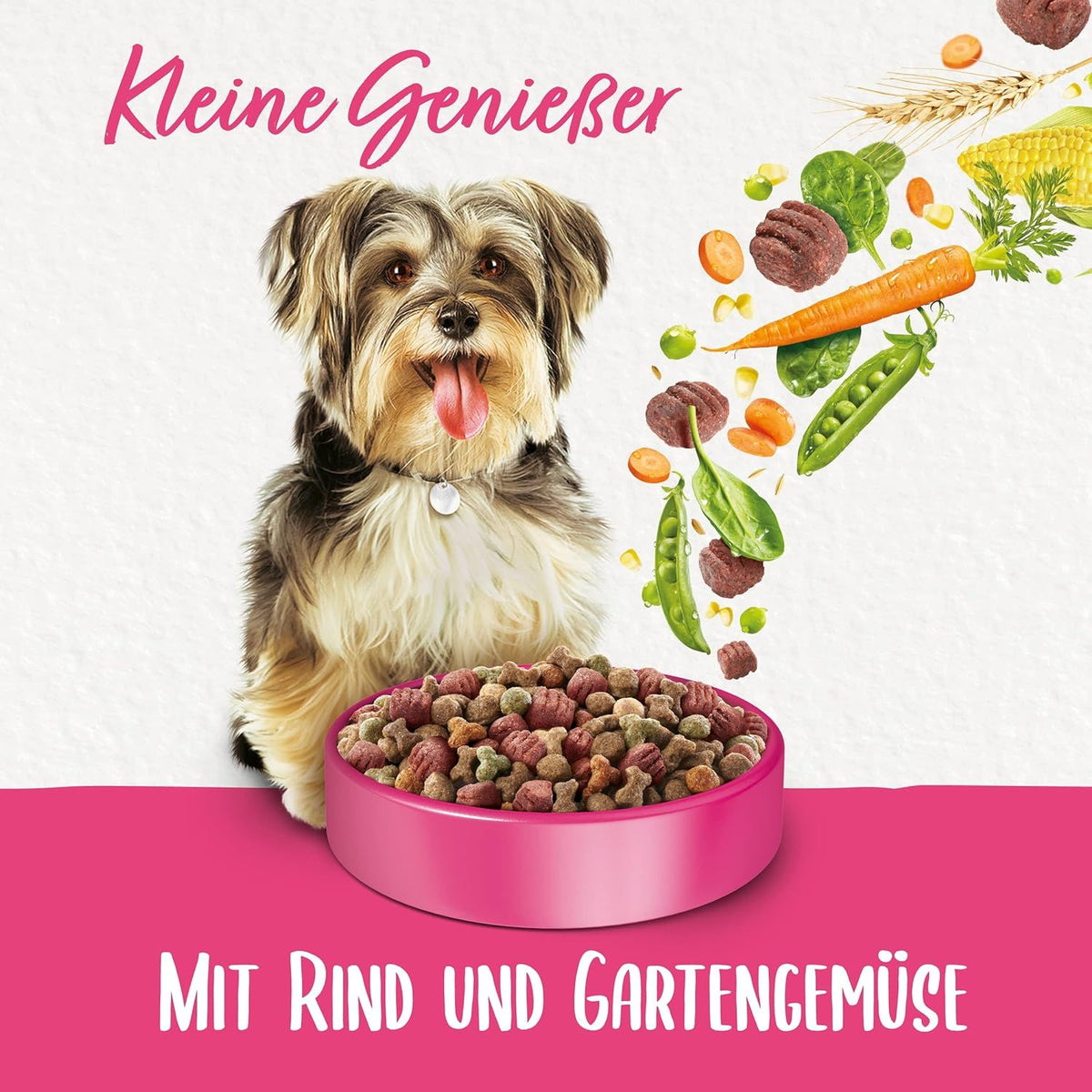 BENEFUL Petits gourmets nourriture sèche pour chiens avec bœuf et légumes
