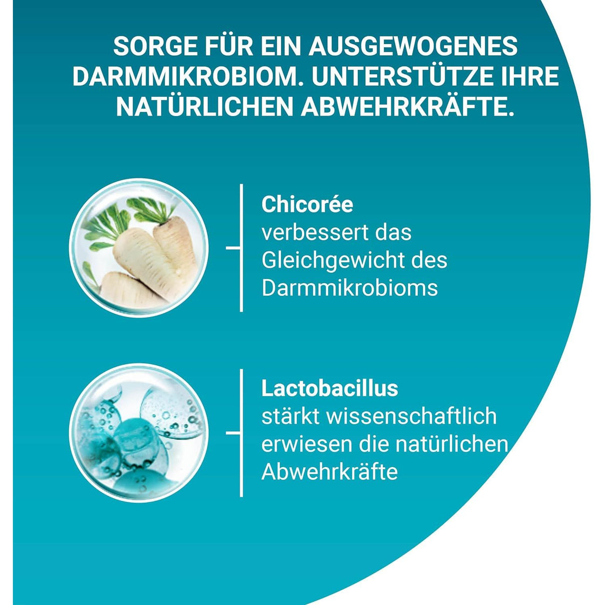 PURINA ONE ADULT Trockenfutter Katze mit Huhn