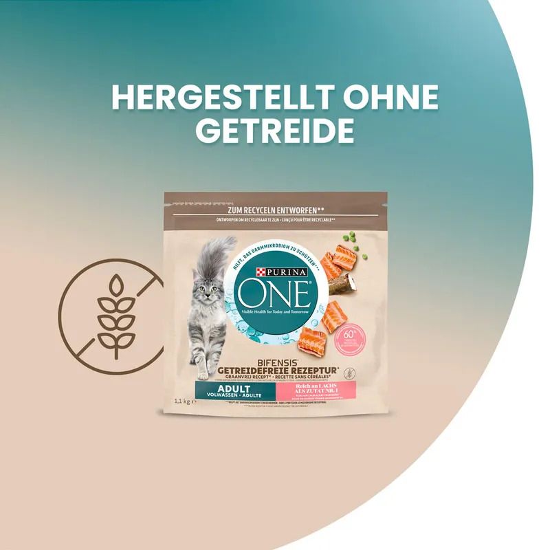 PURINA ONE Getreidefrei Trockenfutter mit Lachs