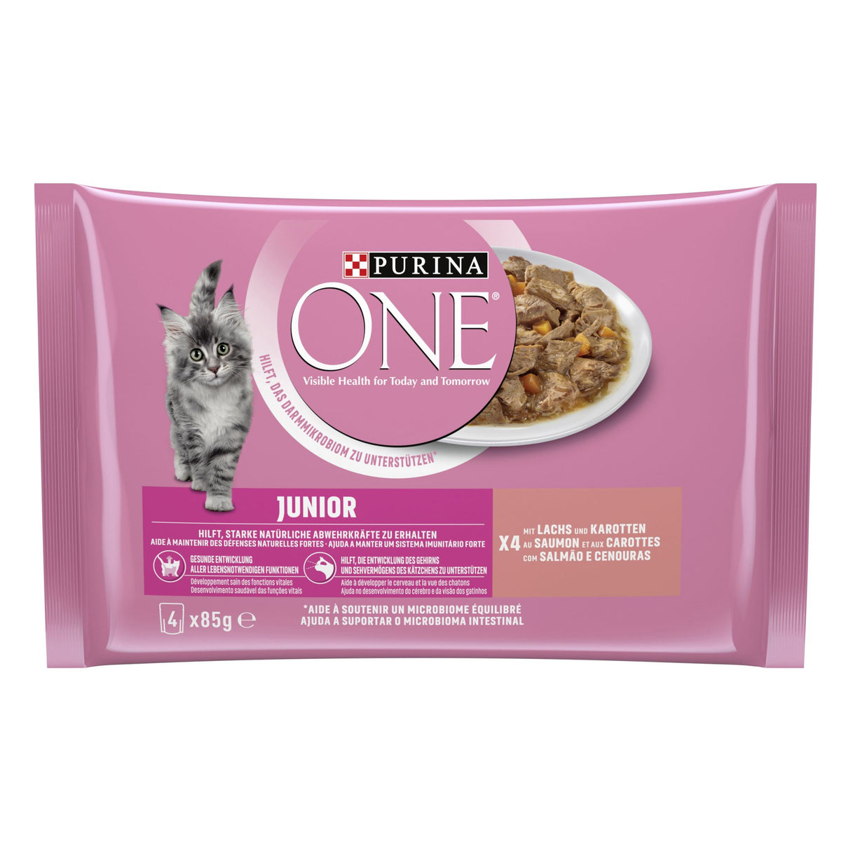 PURINA ONE Junior Aliment pour chatons humide au saumon et aux carottes