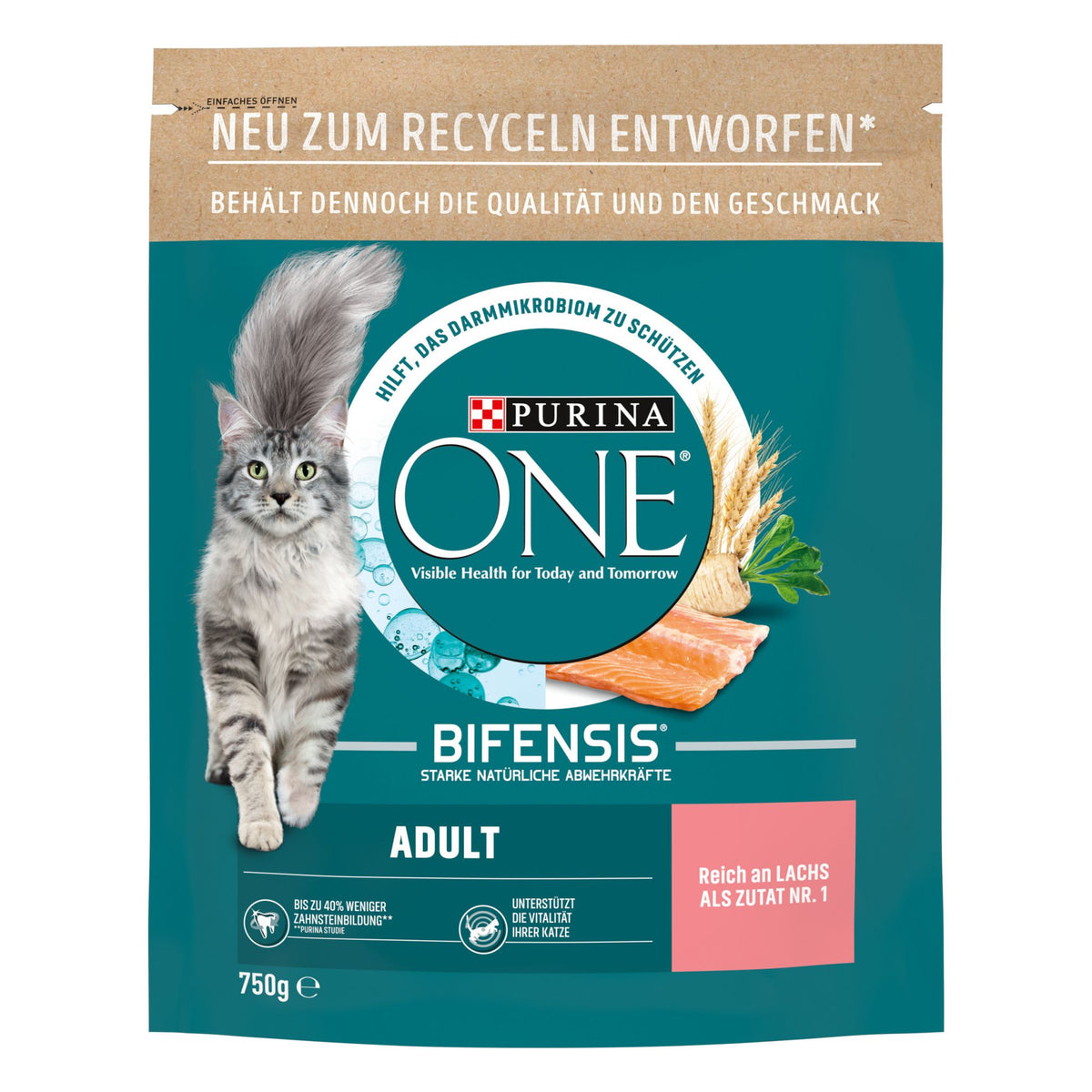 PURINA ONE BIFENSIS Alimentation sèche pour chats adultes, riche en saumon