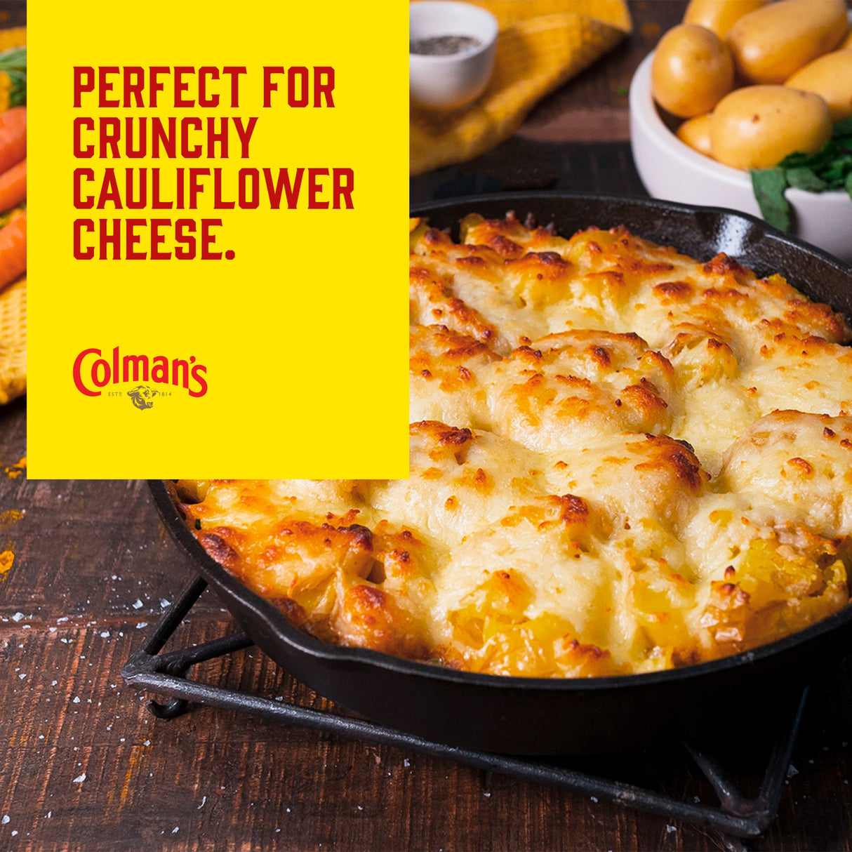 Colman's Original englischer Senf, English Mustard fein gemahlen in der Tube