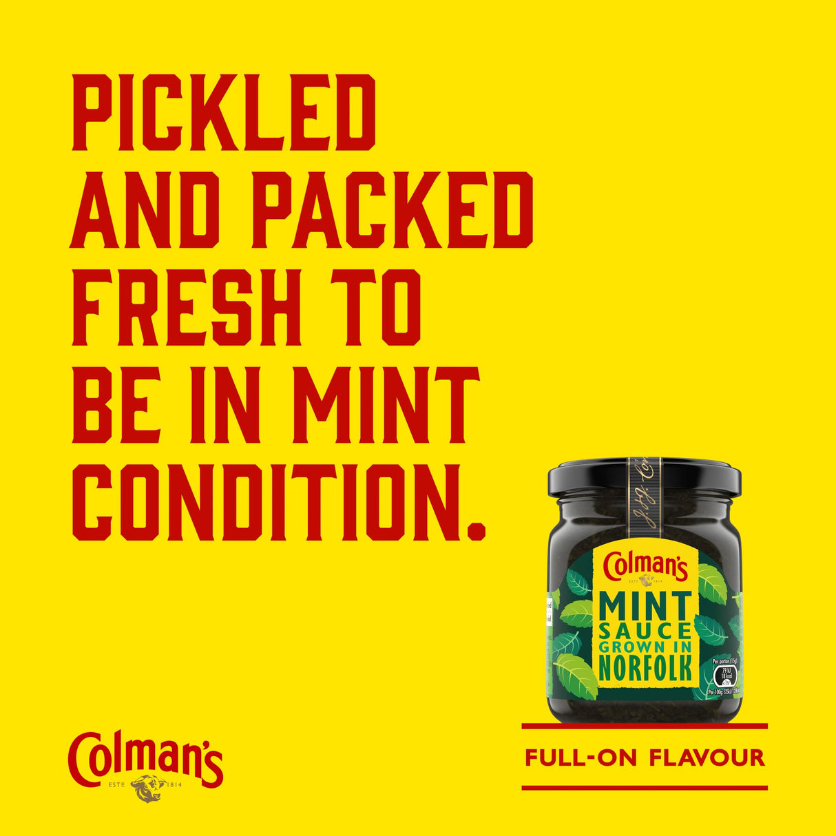 Colman's Classic Mint Sauce | Sauce épicée à la menthe pour assaisonner l'agneau, les vinaigrettes, le guacamole |