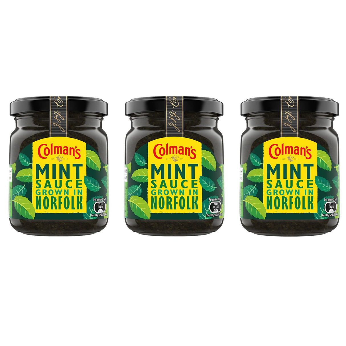 Colman's Classic Mint Sauce | Gewürzsoße aus Minze zum Würzen von Lamm, Salatdressings, Guacamole |