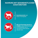 ONE Sterilcat zarte Stückchen in Sauce mit Lachs und Karotte