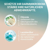 PURINA ONE Sterilcat Getreidefrei Trockenfutter mit Rind