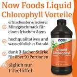 Now Foods Liquid Chlorophyll mit Minzgeschmack