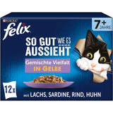 FELIX Aussi bon qu'il y paraît Diversité mixte Senior