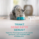 PURINA ONE HYDRALIFE mit Lachs