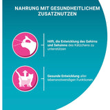 PURINA ONE Junior Kittenfutter nass mit Lachs & Karotten