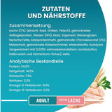 PURINA ONE BIFENSIS Adult Katzenfutter trocken, reich an Lachs