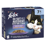 FELIX So gut wie es aussieht Gemischte Vielfalt Senior