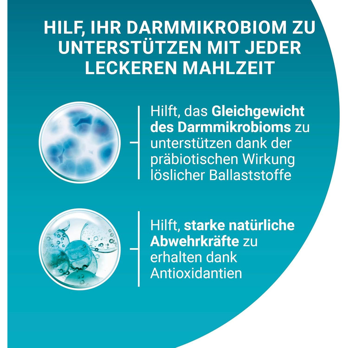 PURINA ONE ADULT mit Hochseefisch, Huhn, Rind, Lamm Katzenfutter nass