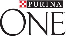 PURINA ONE