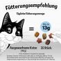FELIX KnabberMix Grillspaß Knuspriger Katzensnack  (8er Pack (8 x 60g))