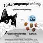 FELIX KnabberMix Original, Knuspriger Katzensnack mit 3 Geschmacksrichtungen (5er Pack (5 x 200g))