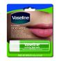 Vaseline Lip Therapy Aloe | Pflegender Lippenbalsam | Lippen-Feuchtigkeitscreme (24 x 4.8g)