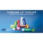 Vaseline Lip Therapy das Original, Pflegender Lippenbalsam, Lippenstift mit Vitamin E und Vaselinegel, Doppelpack (Original (2 Stück))