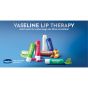 Vaseline Lip Therapy Rosy, Getönter Lippenbalsam, Lippenstift mit Mandel und Rosenöl, Doppelpack (24 x 2 x 4.8g)