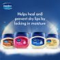 Vaseline Lip Therapy Crème Brûlée, Pflegender Lippenbalsam für optimale Feuchtigkeit  (Crème Brûlée (3er Pack))